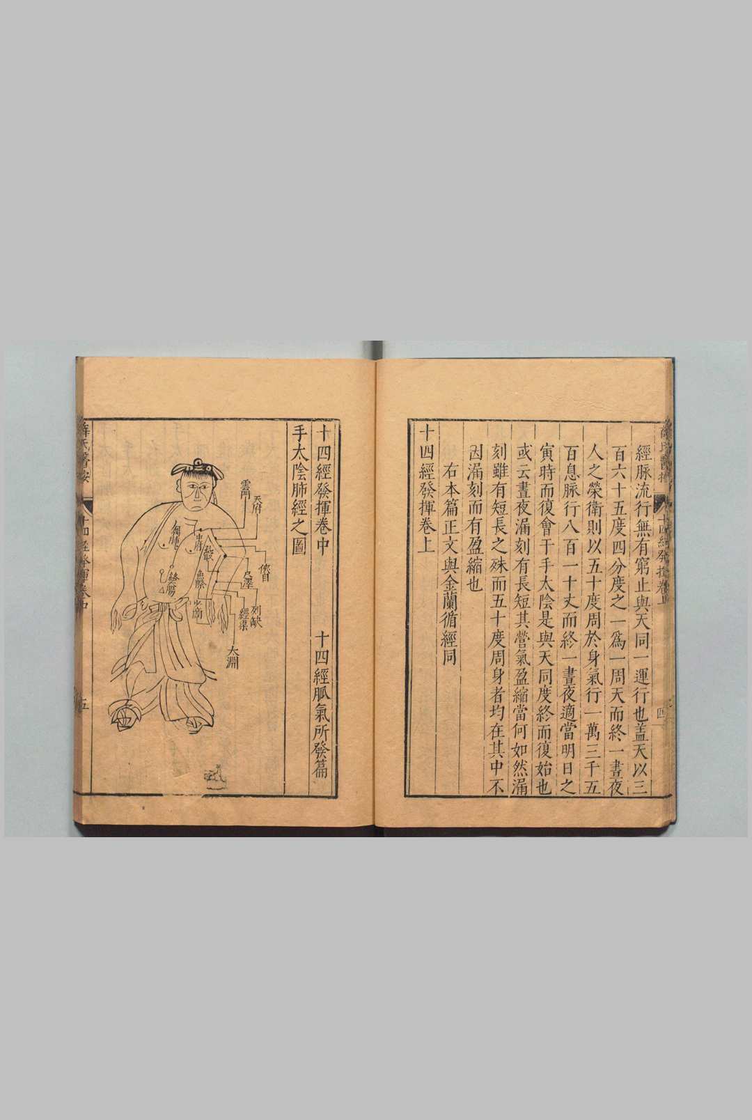 中医古籍《薛氏医按》 二十四种本 薛己 吴琯 明万历间 (图5) 中医古籍《薛氏医按》 二十四种本 薛己 吴琯 明万历间 (图5)
