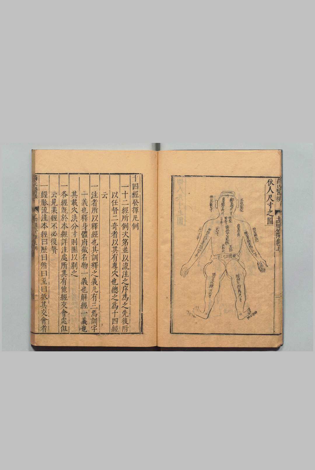 中医古籍《薛氏医按》 二十四种本 薛己 吴琯 明万历间 (图4) 中医古籍《薛氏医按》 二十四种本 薛己 吴琯 明万历间 (图4)
