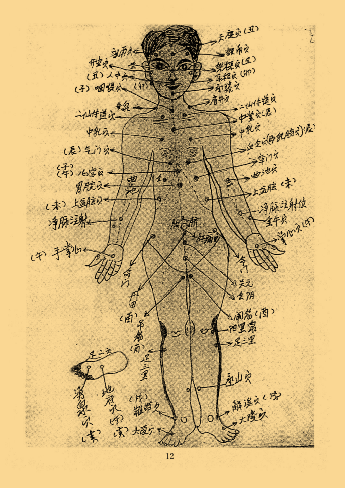 绝密中医伤科秘传 峨眉山_12.png