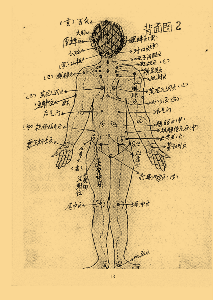 绝密中医伤科秘传 峨眉山_13.png