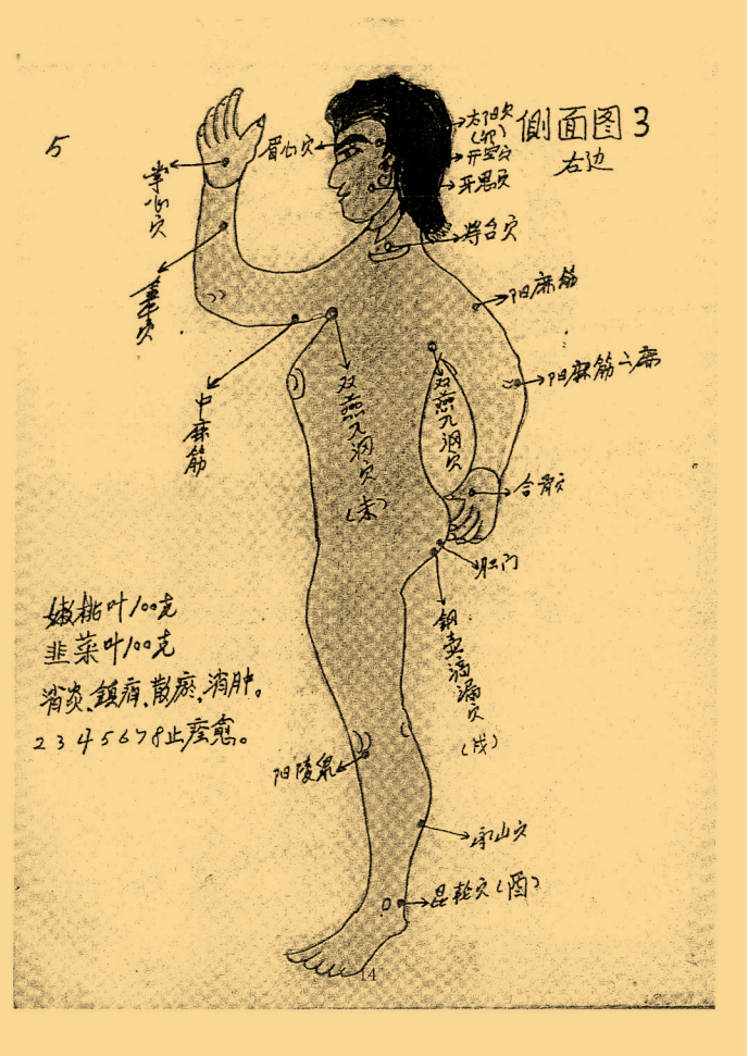 绝密中医伤科秘传 峨眉山_14.png