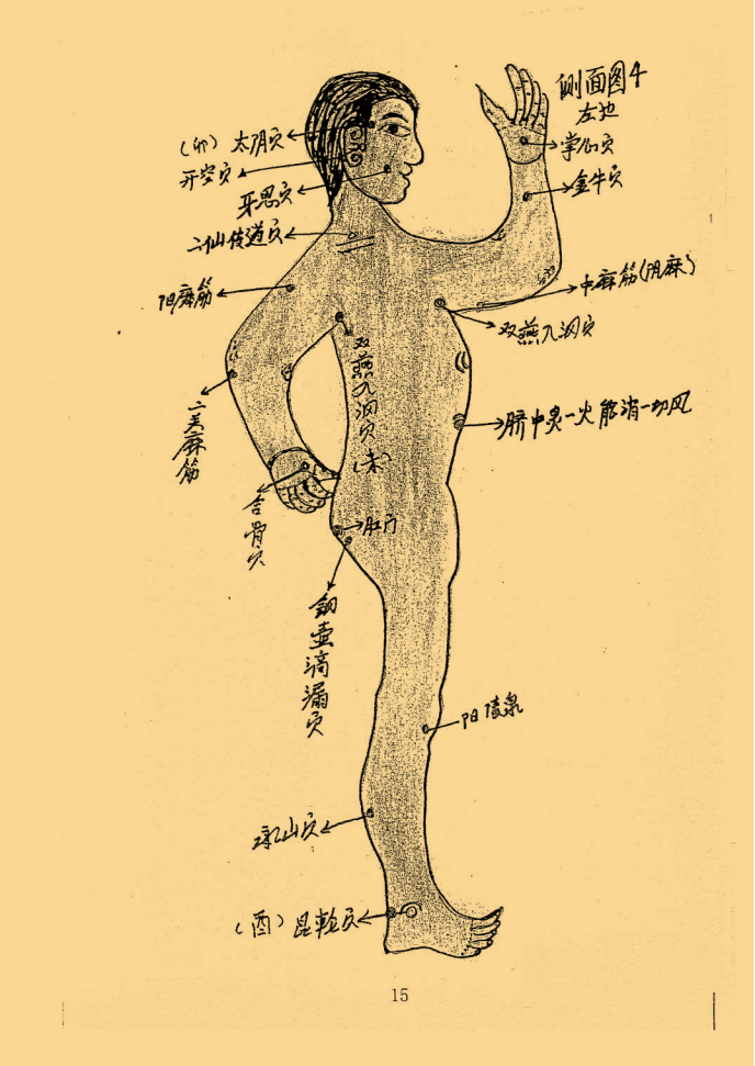 绝密中医伤科秘传 峨眉山_15.png