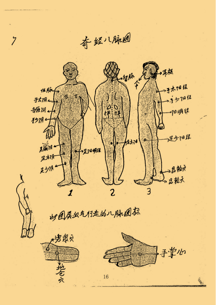 绝密中医伤科秘传 峨眉山_16.png