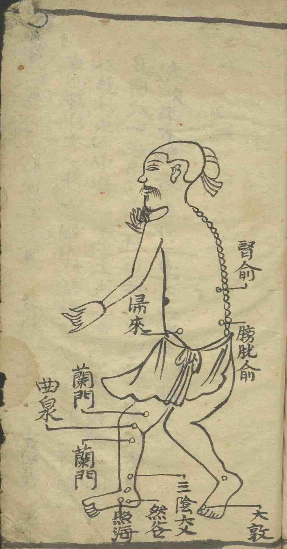 中医古籍《​绘图手抄医书》(图17)