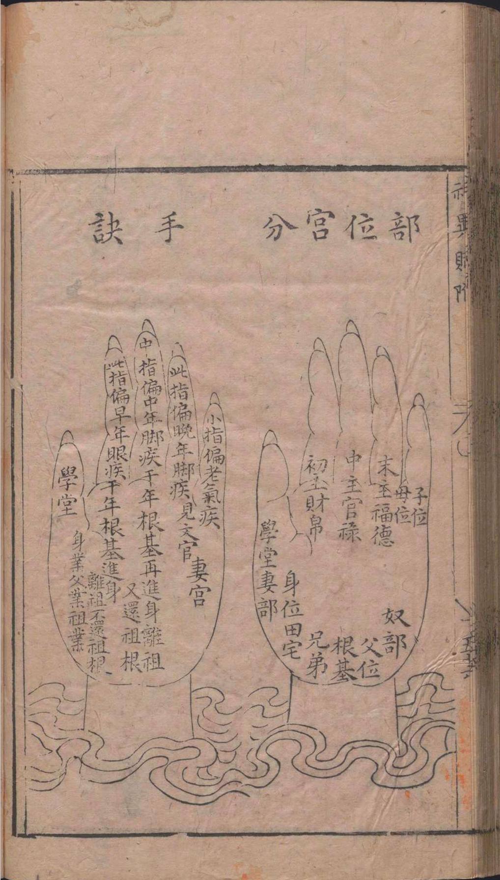 相术古籍《麻衣相》(图13)