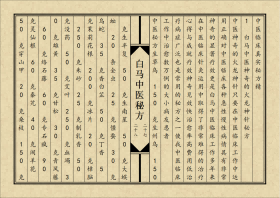 中医方书书籍《白马中医秘方》(图16)