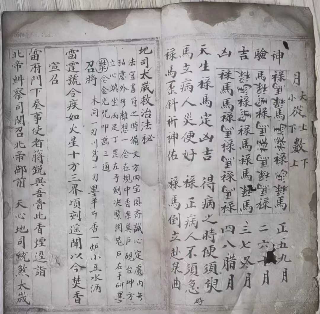 道医古籍《地司太岁救治法秘》(图1)