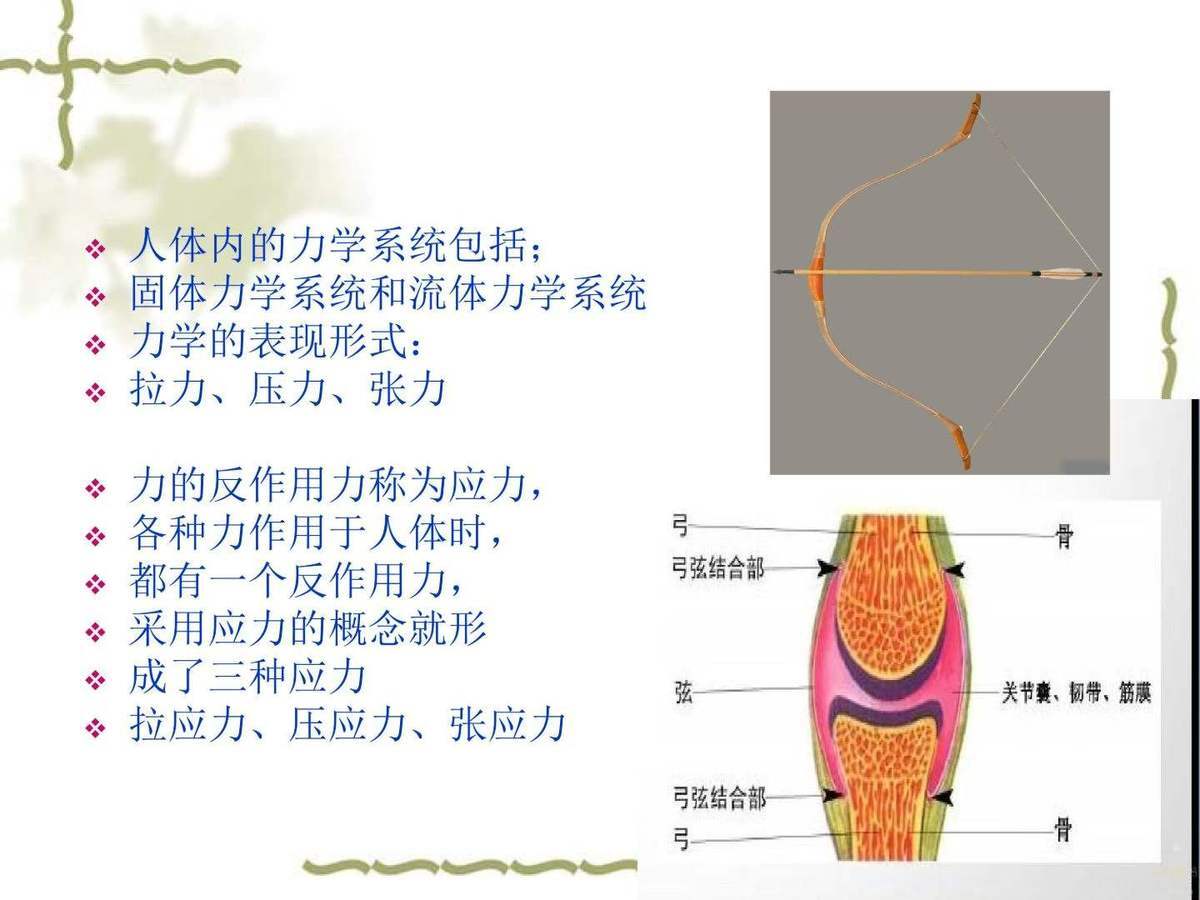 道医书籍《​指寻根术》玄宗(图6)