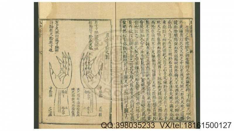 脉诀指掌  一卷  (元)朱震亨撰  明万历间新安吴勉(图3)