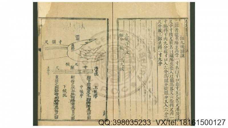 脉诀指掌  一卷  (元)朱震亨撰  明万历间新安吴勉(图4)