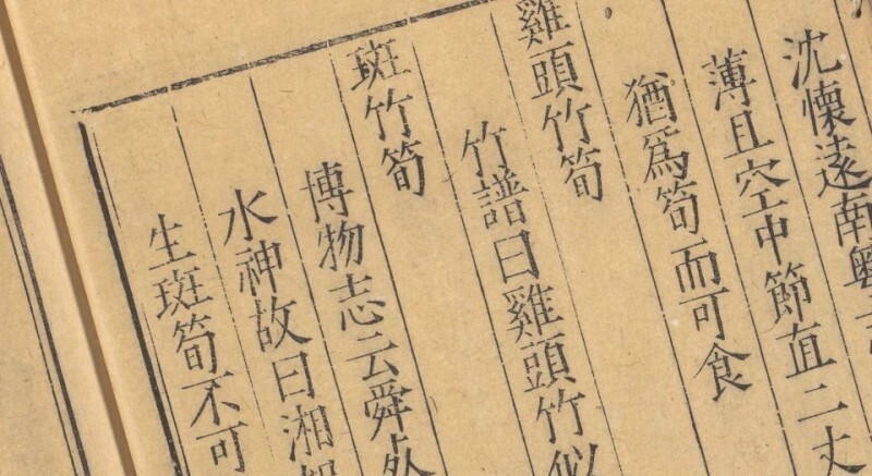 笋谱 笋谱(图1)