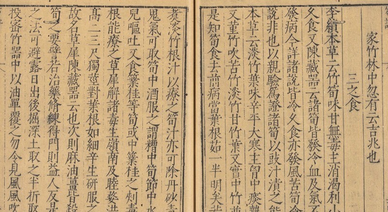 笋谱 笋谱(图2)