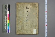 梅十_晓云阁青鸡撰(图1)