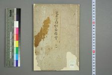 芭蕉翁松岛独吟_晋堂云南编(图1)
