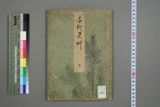 千代见艸_定美编(图1)