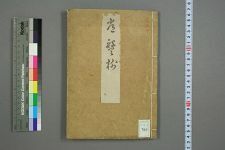 常盘树_茂良编(图1)
