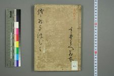 代龄_几道编(图1)