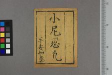 小尼思凡(图1)