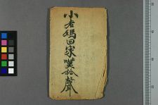小老妈回家叹拾声(图1)