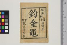 钓金龟(图1)