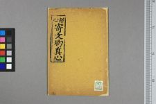 新本寄文胸(图1)