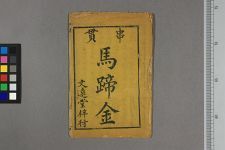 马蹄金(图1)