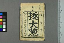 拔大葱(图1)
