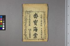 新选番宝海棠全本_残二卷存第二四卷(图1)