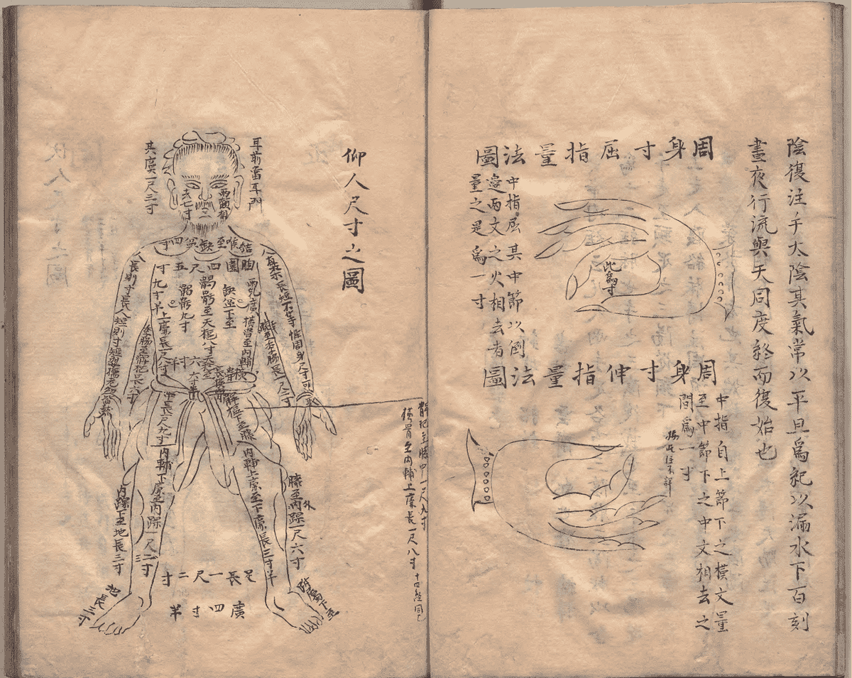 中医针灸著作《鼎雕铜人腧穴针灸图经》明抄本(图6)