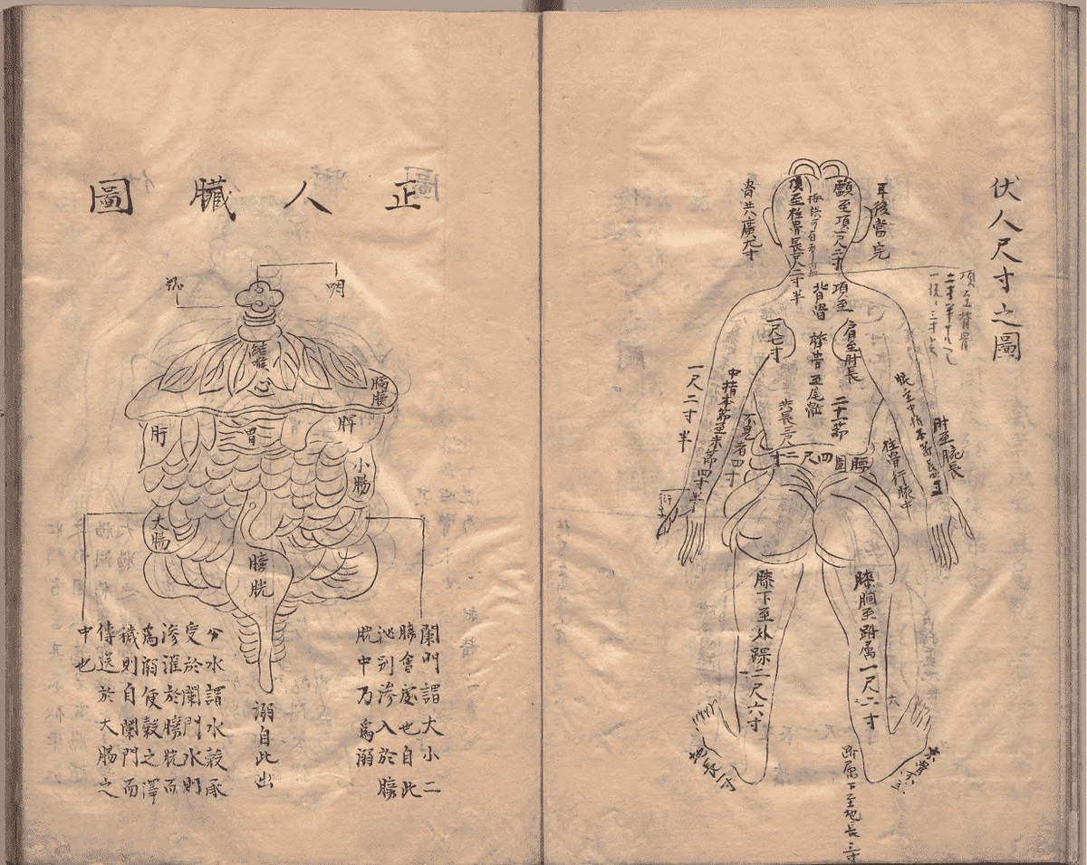 中医针灸著作《鼎雕铜人腧穴针灸图经》明抄本(图5)