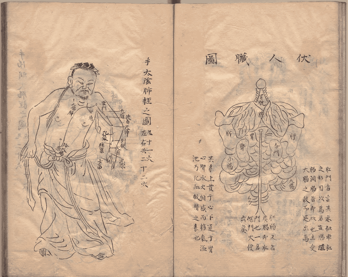 中医针灸著作《鼎雕铜人腧穴针灸图经》明抄本(图7)