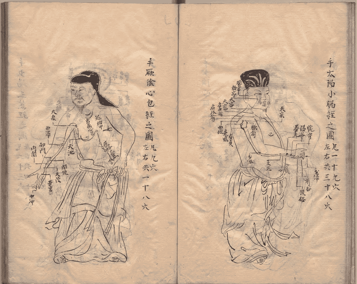 中医针灸著作《鼎雕铜人腧穴针灸图经》明抄本(图8)