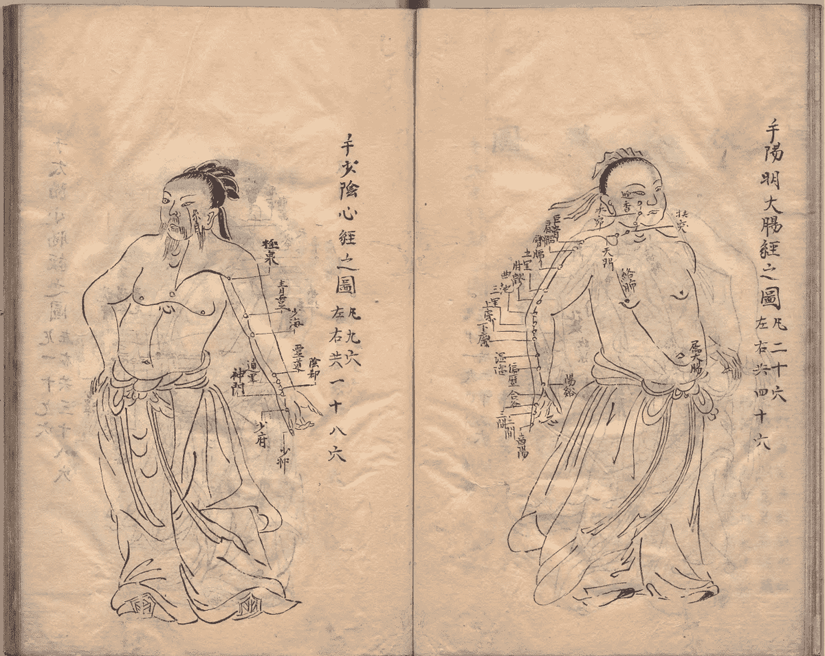 中医针灸著作《鼎雕铜人腧穴针灸图经》明抄本(图9)