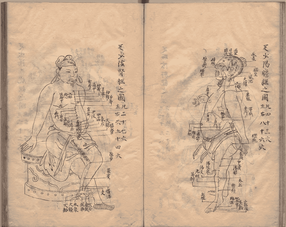 中医针灸著作《鼎雕铜人腧穴针灸图经》明抄本(图12)