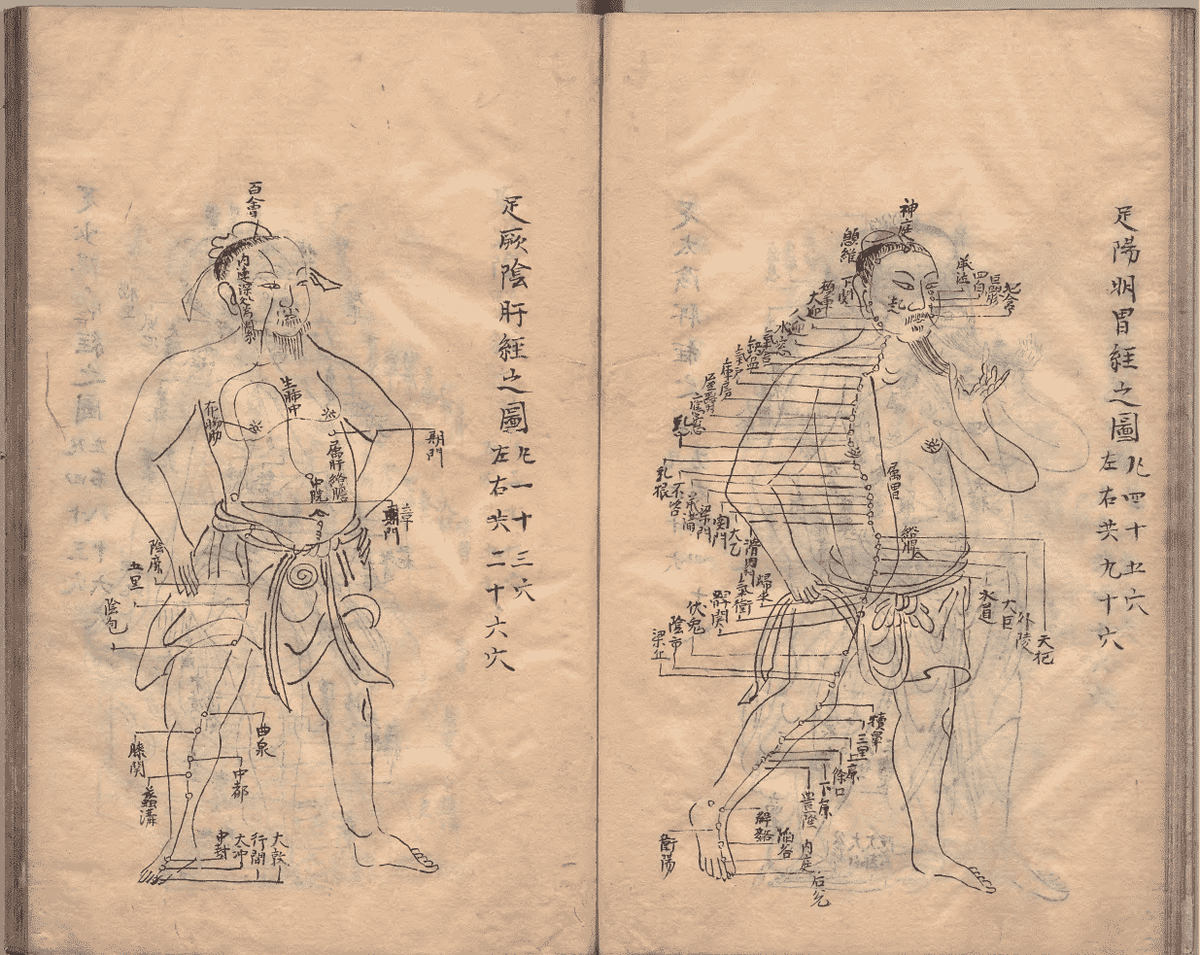 中医针灸著作《鼎雕铜人腧穴针灸图经》明抄本(图11)