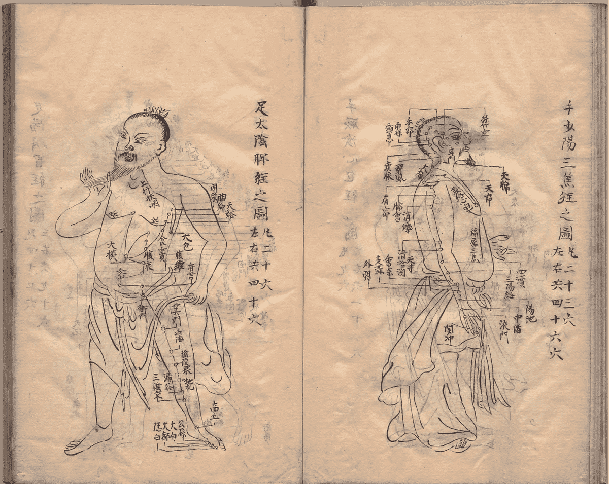 中医针灸著作《鼎雕铜人腧穴针灸图经》明抄本(图10)