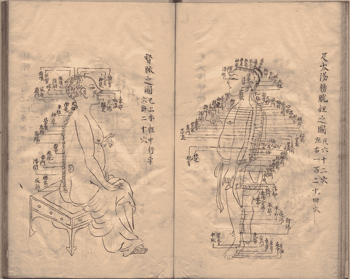 中医针灸著作《鼎雕铜人腧穴针灸图经》明抄本(图13)