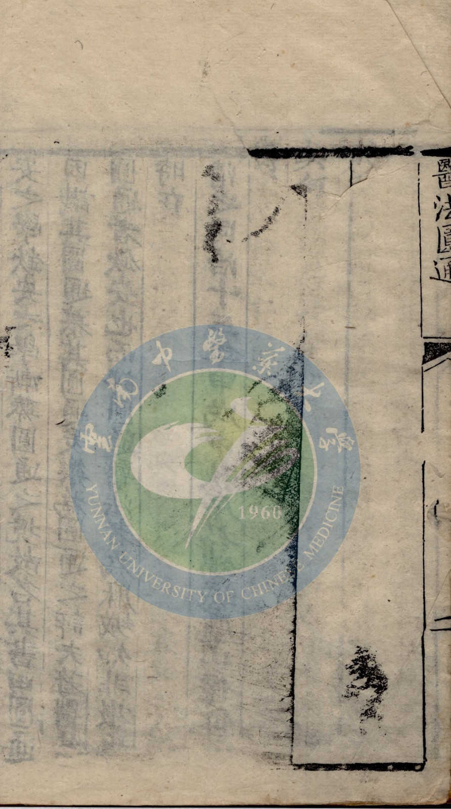 《医法圆通》4卷(图8)