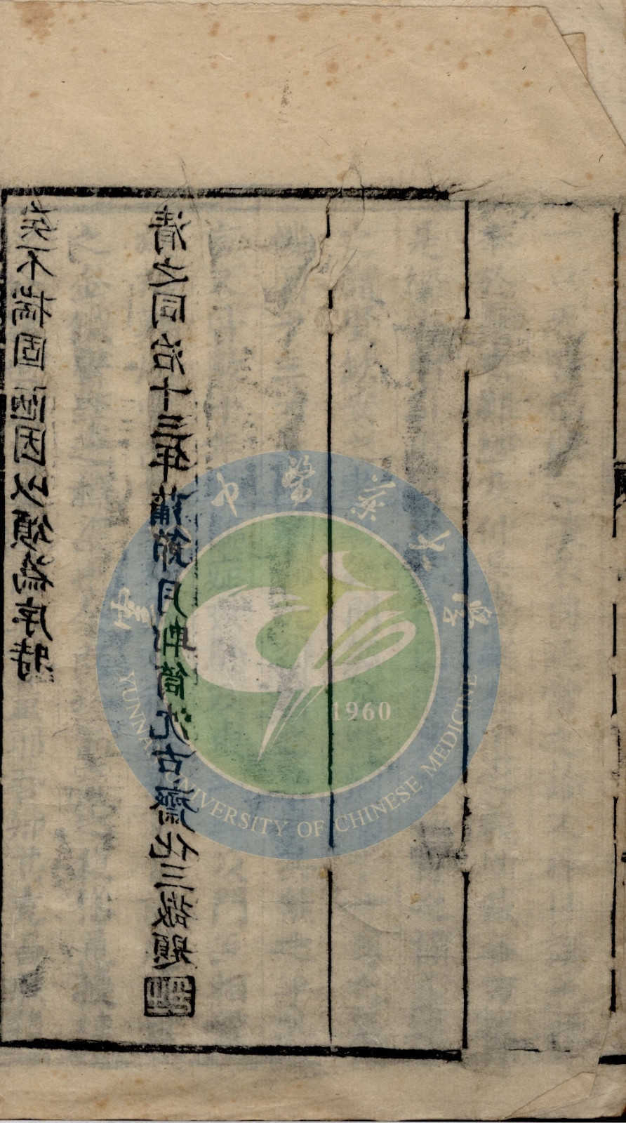《医法圆通》4卷(图14)