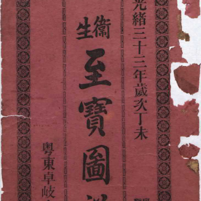 《卫生至宝图说》