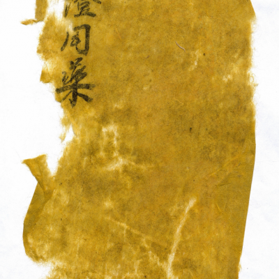 《辨证用药》