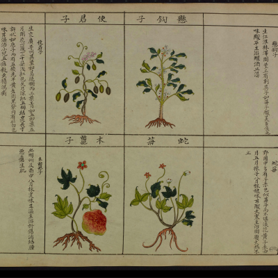 《收藏中国动植物》