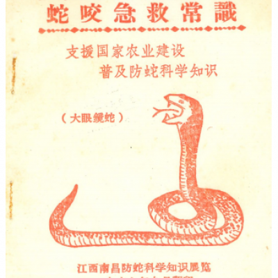 《蛇咬急救常识》