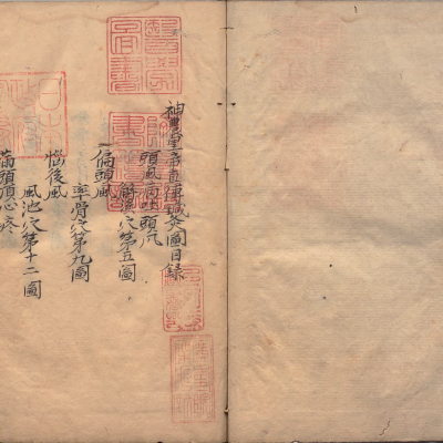 《神农皇帝真传针灸图》