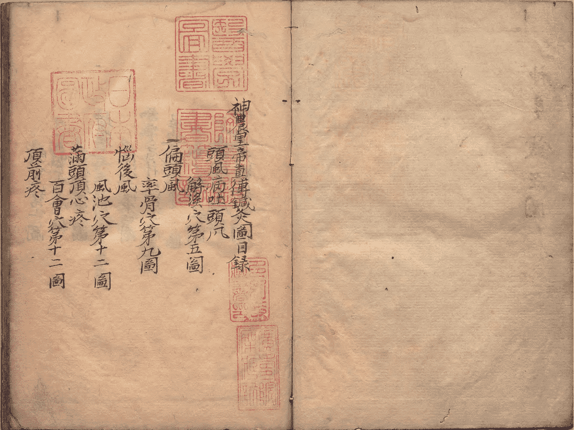 《神农皇帝真传针灸图》(图1)