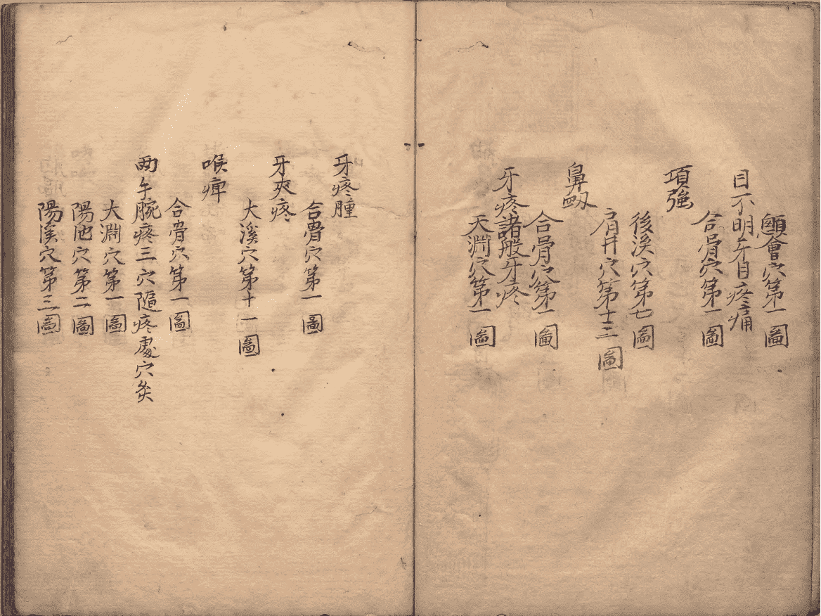 《神农皇帝真传针灸图》(图2)