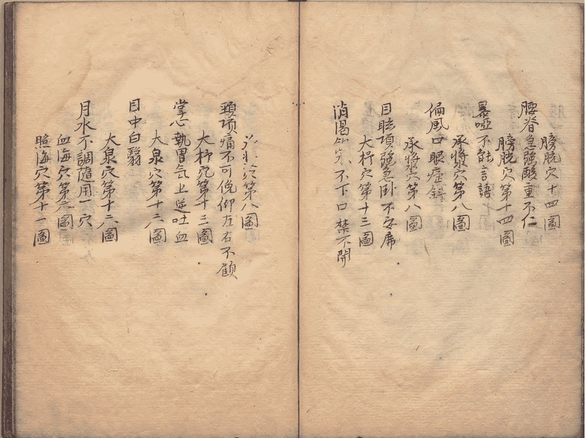 《神农皇帝真传针灸图》(图9)