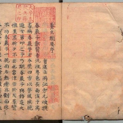 《养生类要》2卷4册