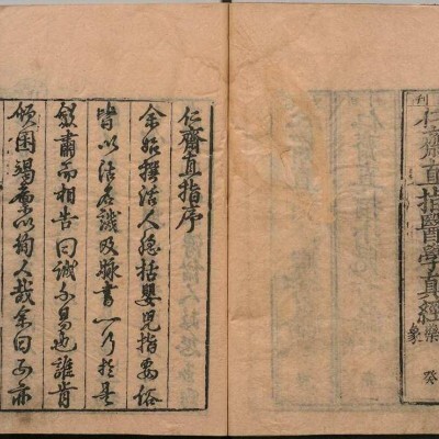 《仁斋直指方论》18册