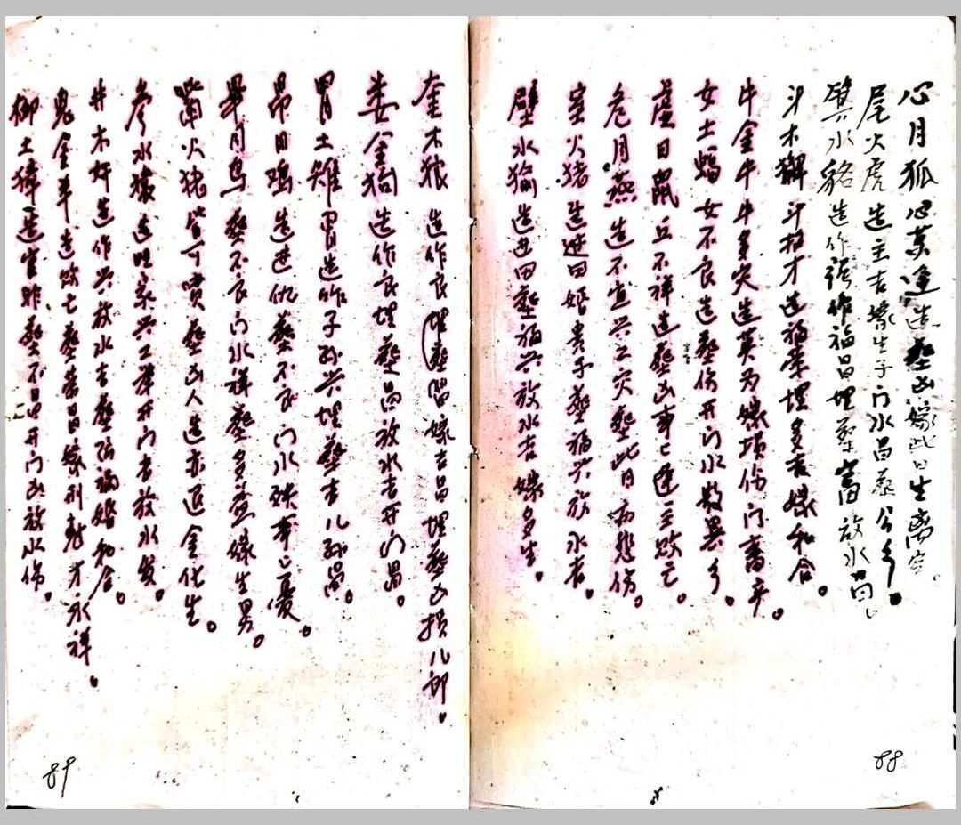 《张良淦抄本》(图16)